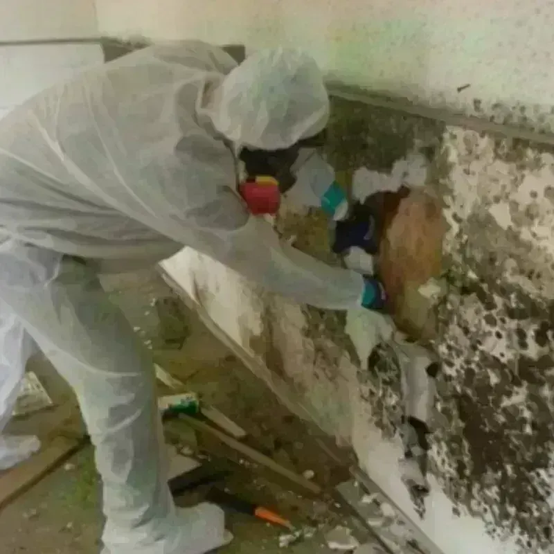 Mold Remediation and Removal in Chesterfield, IN